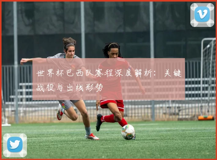 世界杯巴西队赛程深度解析：关键战役与出线形势