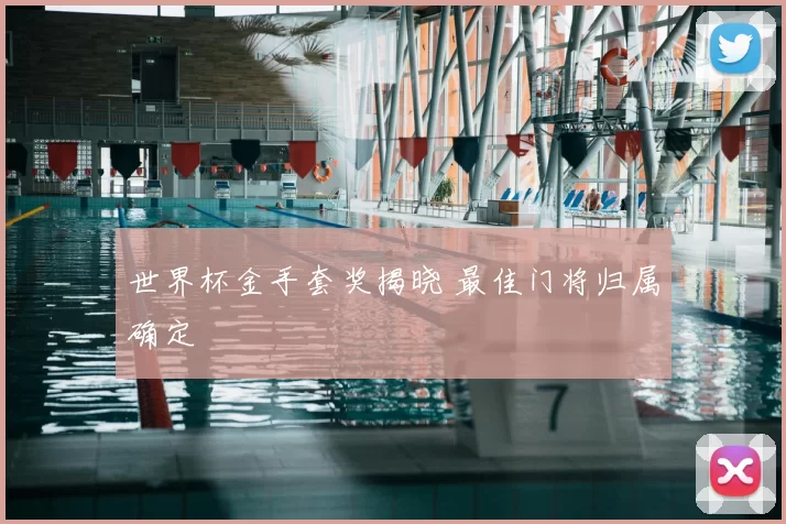 世界杯金手套奖揭晓 最佳门将归属确定