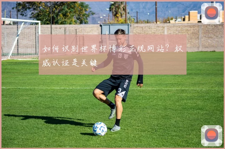 如何识别世界杯博彩正规网站?权威认证是关键