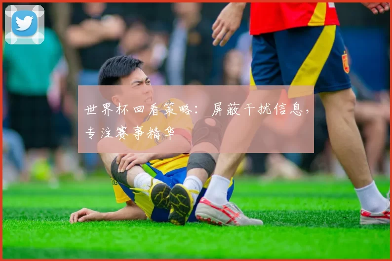 世界杯回看策略：屏蔽干扰信息，专注赛事精华