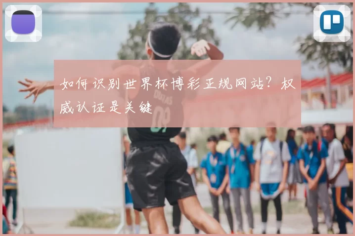 如何识别世界杯博彩正规网站？权威认证是关键