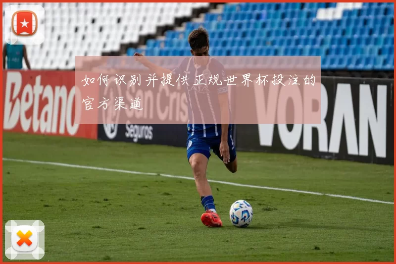 如何识别并提供正规世界杯投注的官方渠道